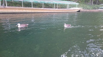 image2.JPG